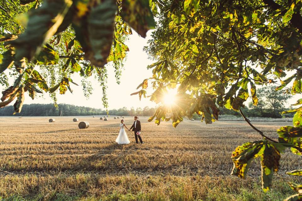 In the fields