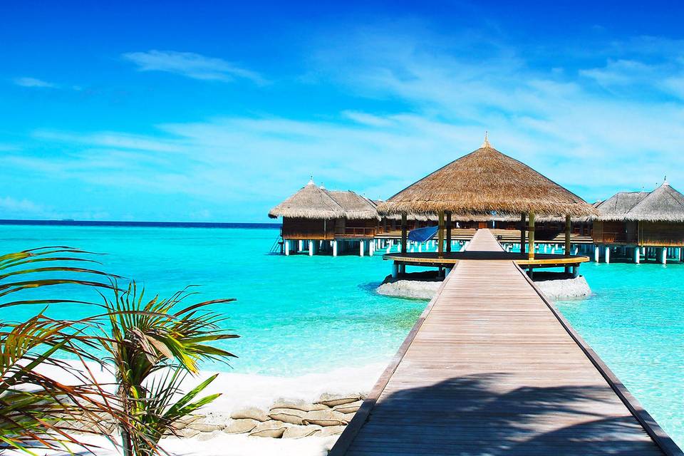 Beach Bum Vacations