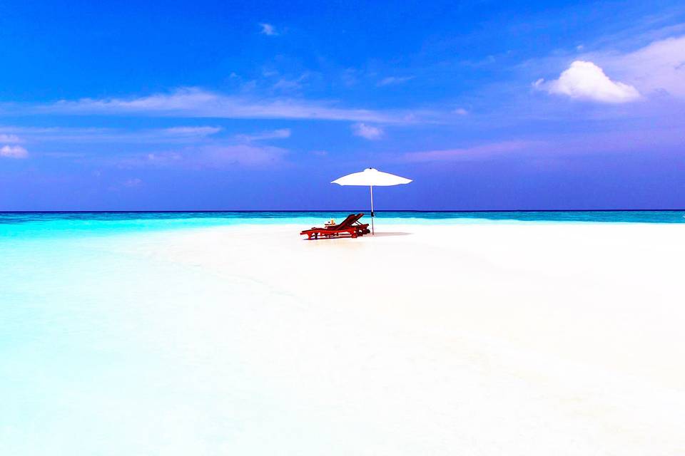Beach Bum Vacations
