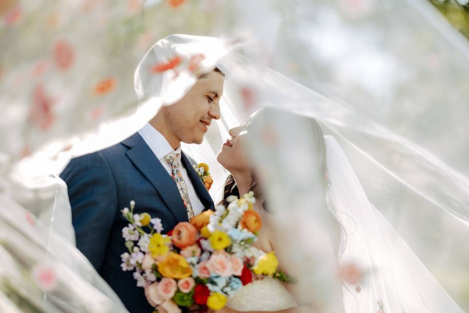 Vibrant Veil