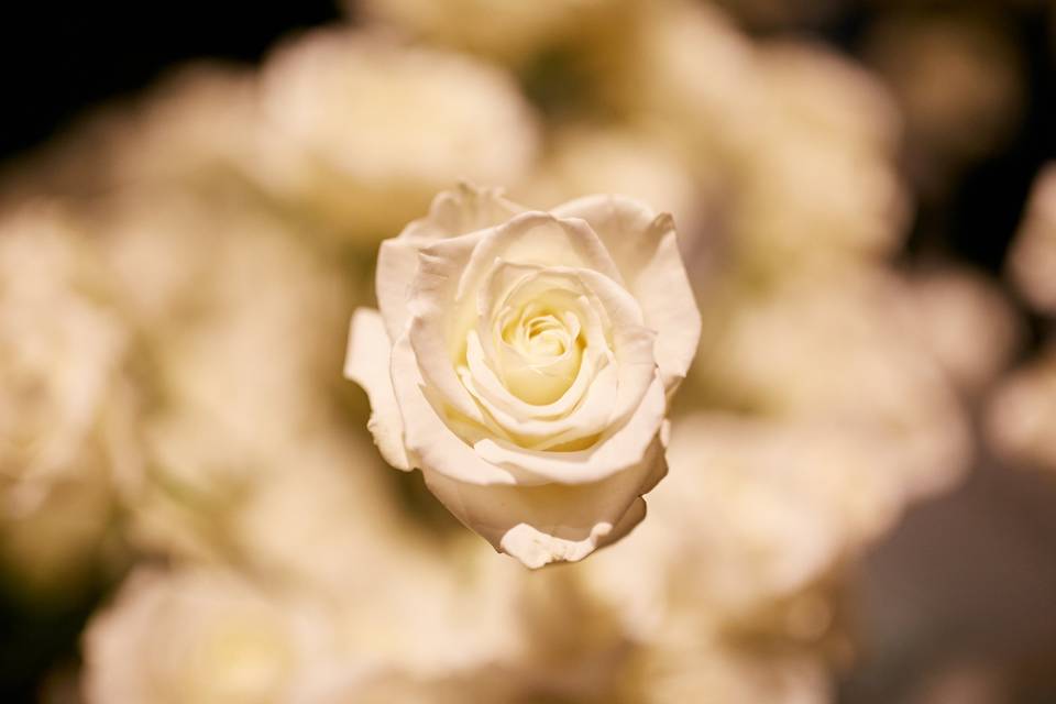 Wedding Floral