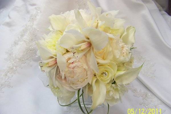 Roses from ADDIE ROSE FLORAL - your local Berlin, NJ Florist & F