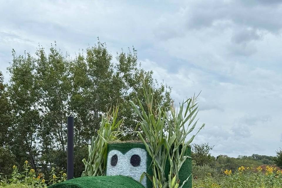 Social Island Farm