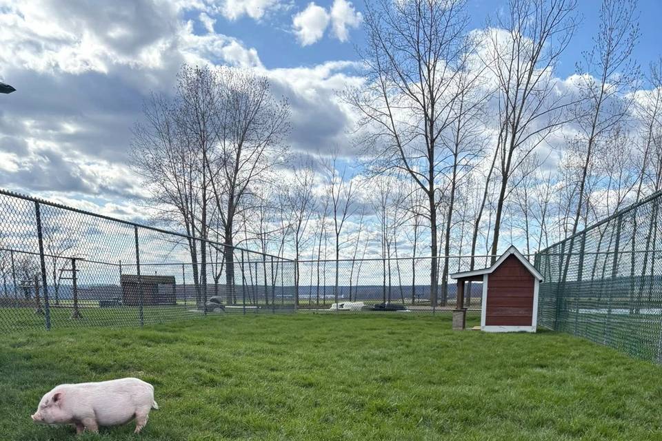 Spring Sunset