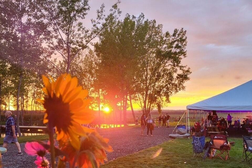 Social Island Farm