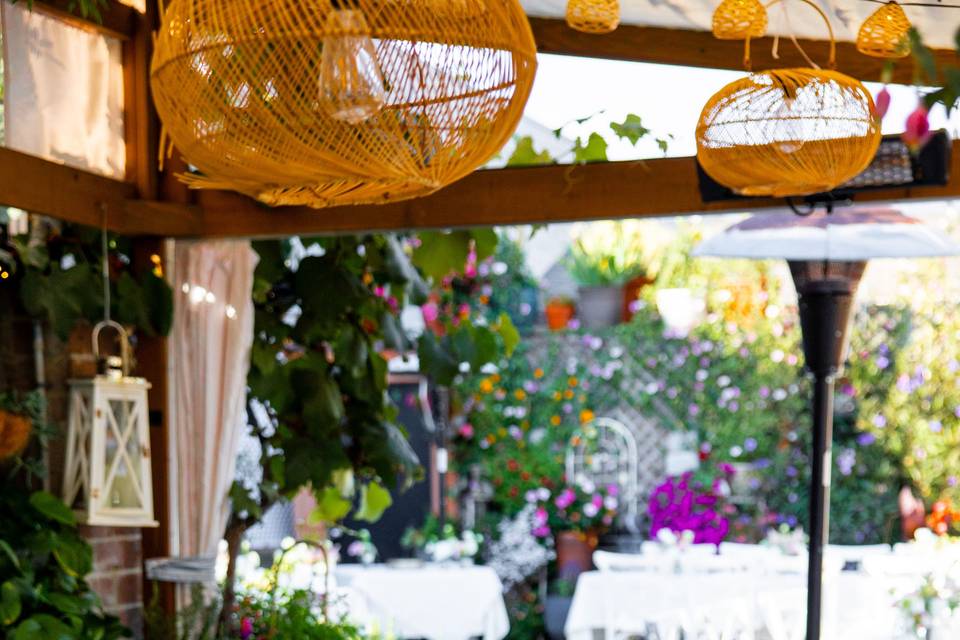 Trellis