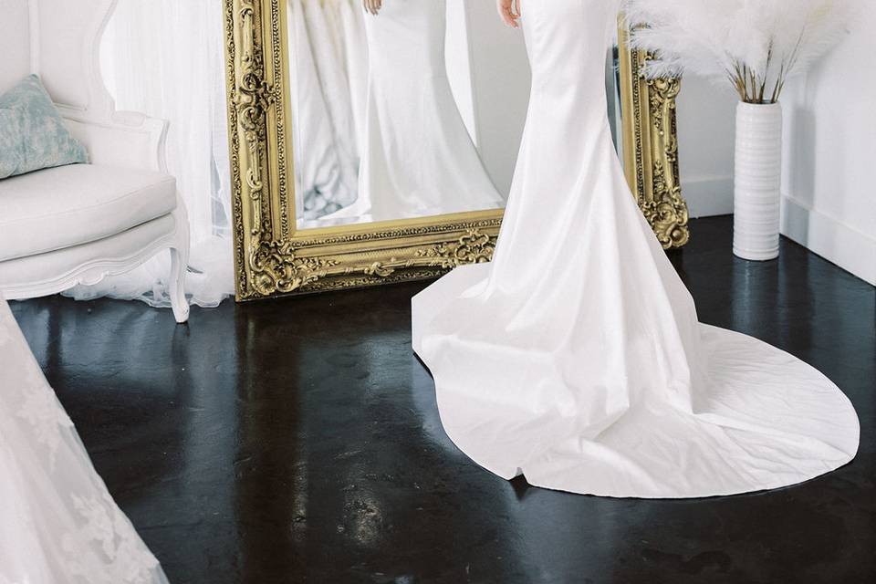 Ines Di Santo Wedding Dress