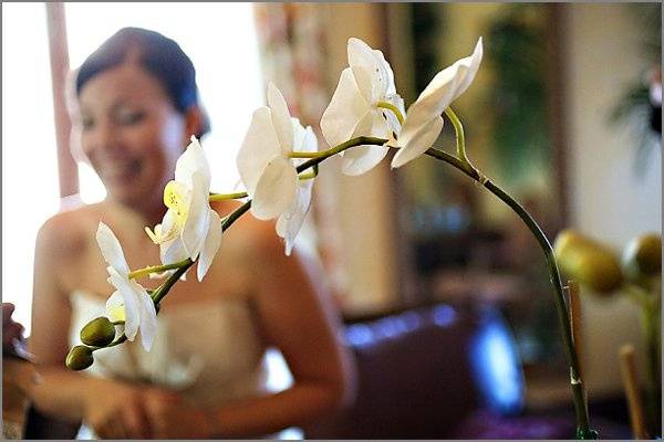 Parigo Studios Photography