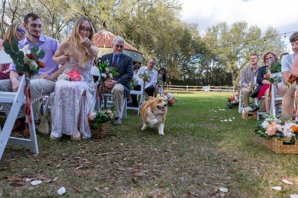 The big day!