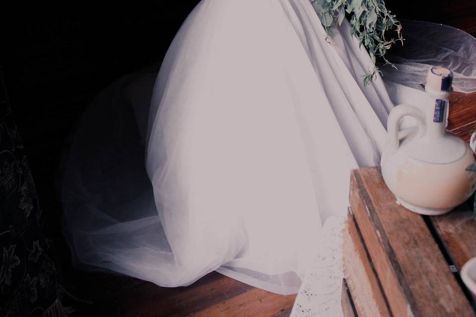Rachael Michelle Photography