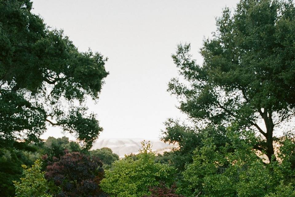 Stonepine Estate