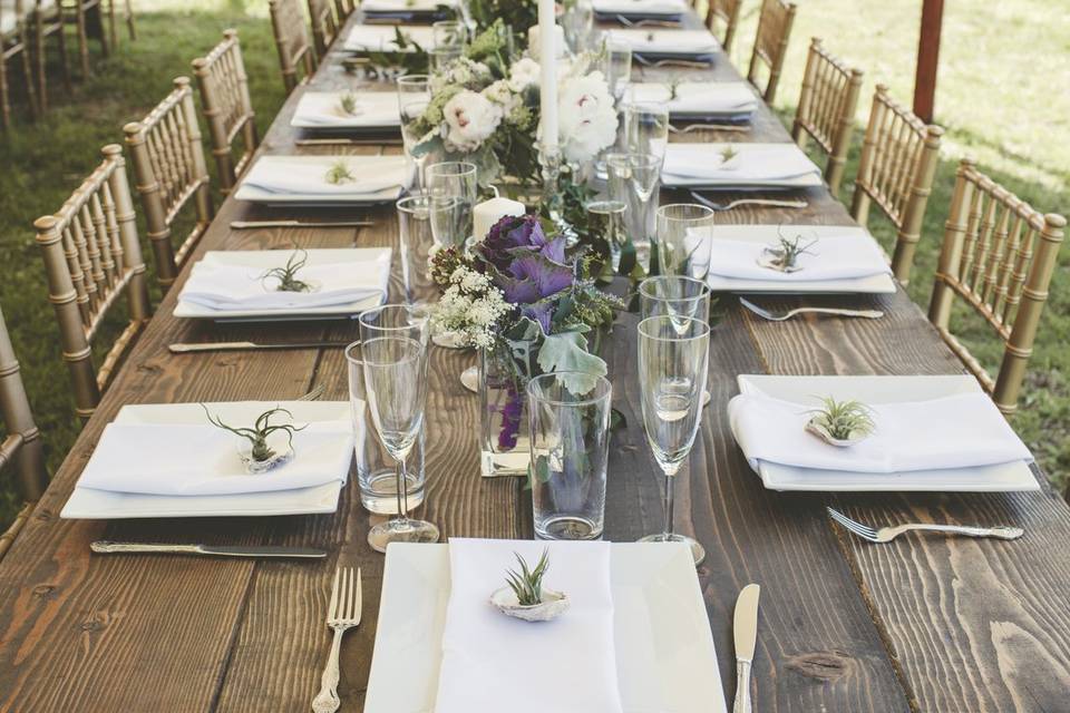 Backyard Tented wedding