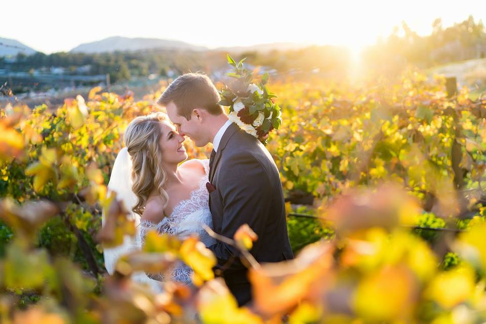 In the Vines