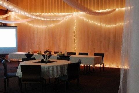 Tulle backdrop with twinkle lights.