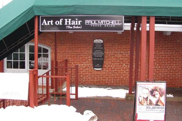 Art of Hair (The Salon)