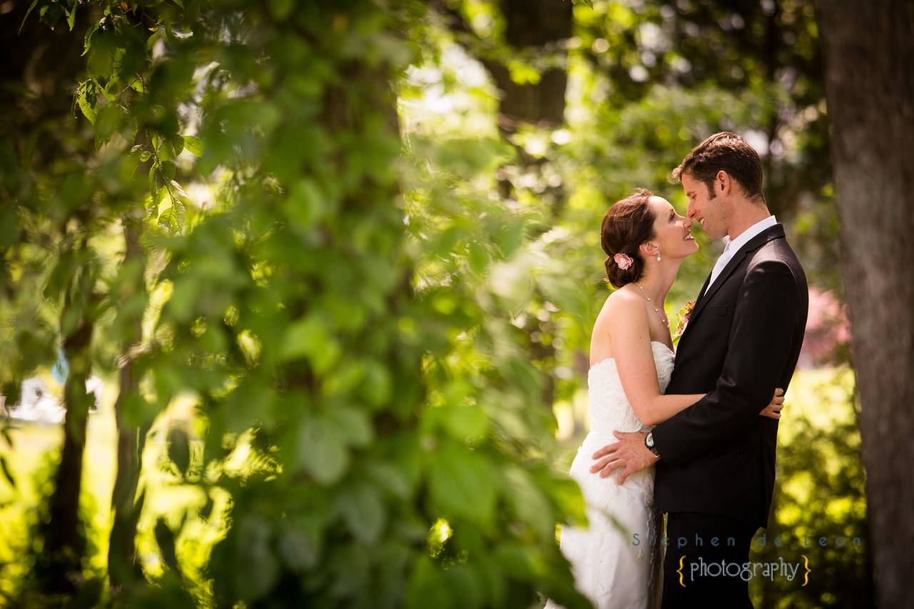 Stephen de Leon Photography Reviews - Alexandria, VA - 13 Reviews