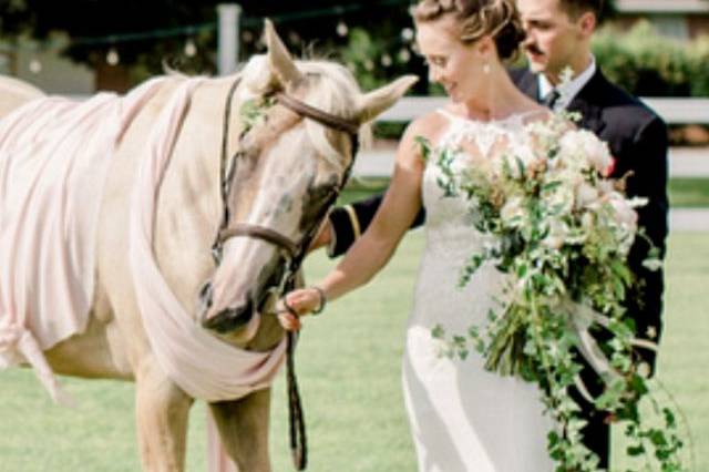 Horse in ceremony. Photo by Teresa Green