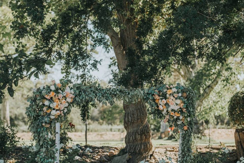 Garden ceremony setup