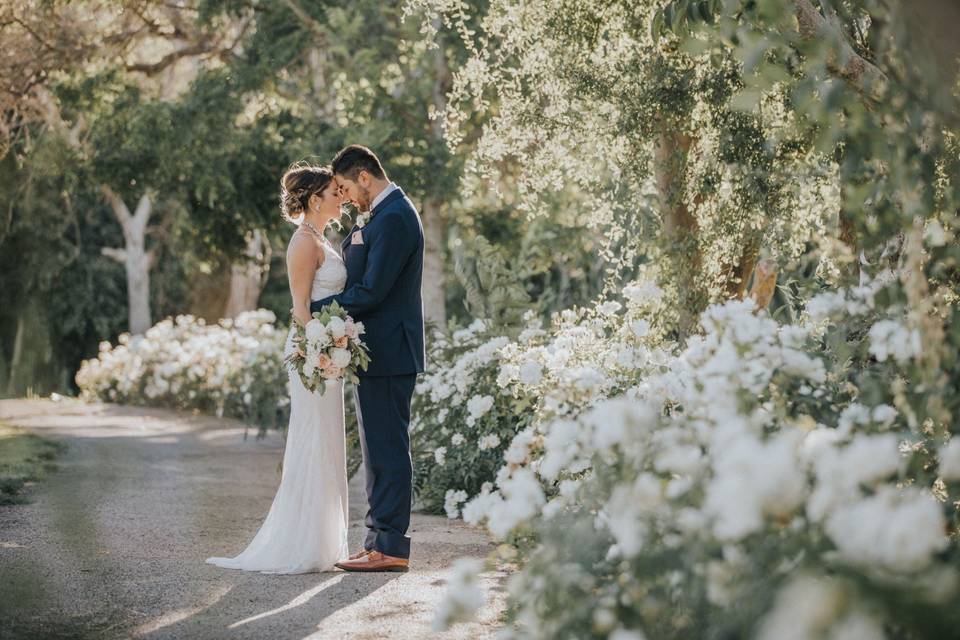 Discover the best wedding photography websites of the moment