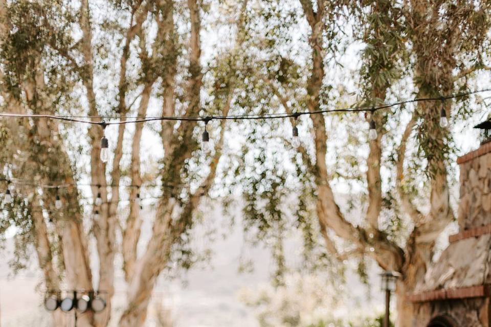 Fireside Patio Ceremony