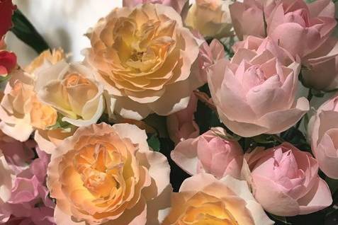 Bouquet