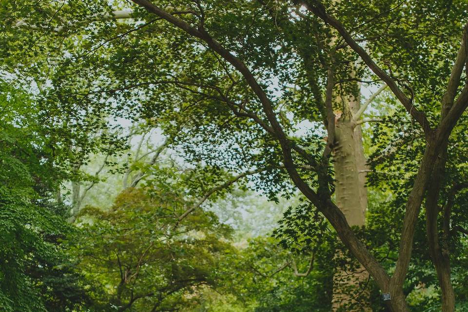 Duet Photography & Video