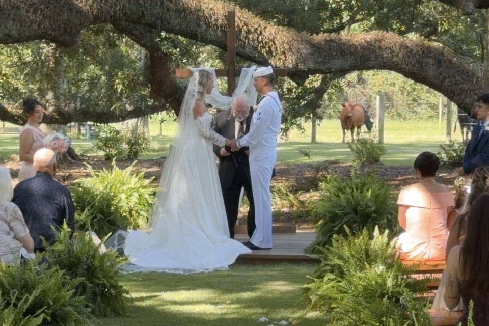 Wedding