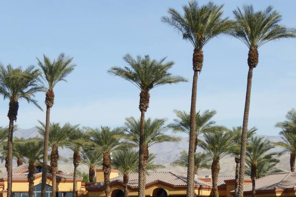 Sun City Palm Desert