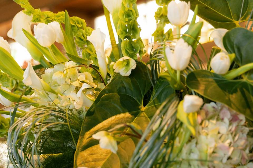 Styled Shoot March 2026