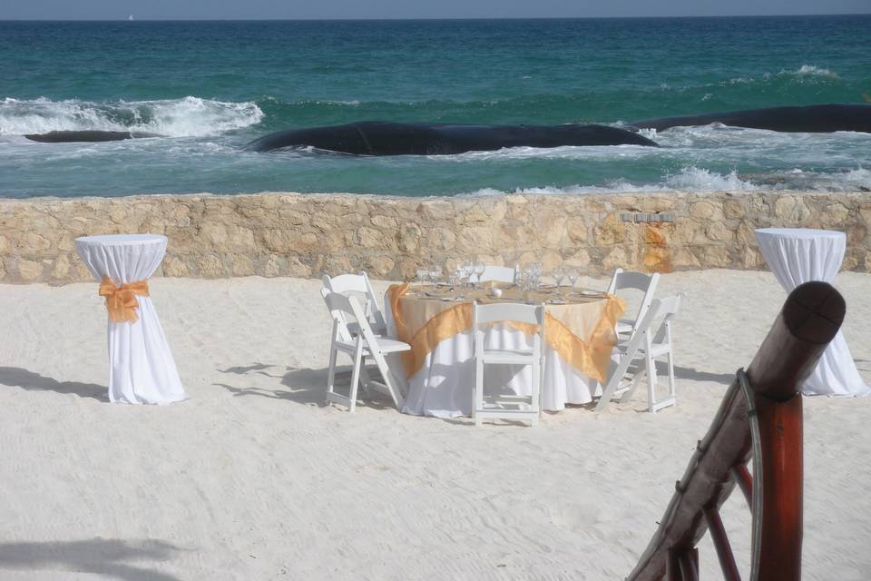 Beachfront Reception