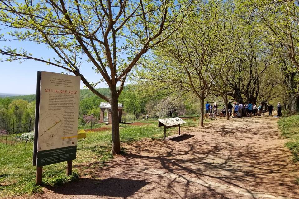 Monticello