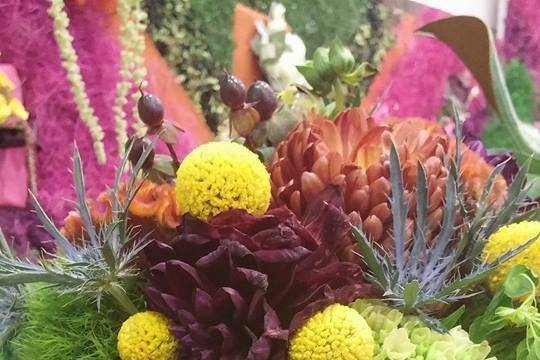 Colorful arrangement