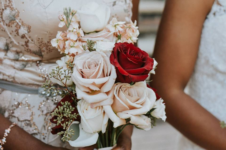 Sarah Stephens Photography