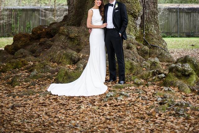 Oak tree portrait