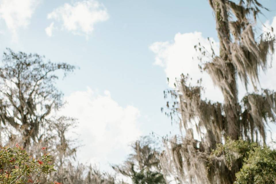 First look and vows