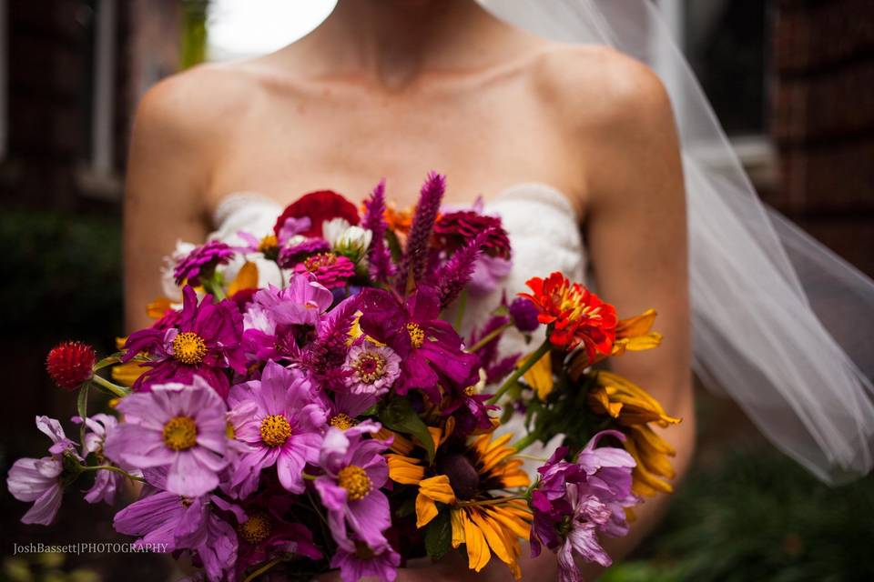 Josh Bassett Photography