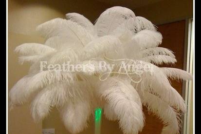 Rent ostrich feather centerpieces