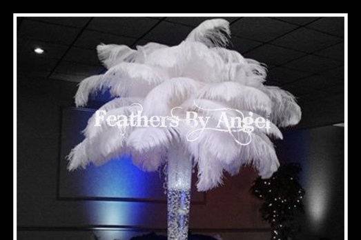 Rent ostrich feather centerpieces for weddings and all events.
www.feathersbyangel.com