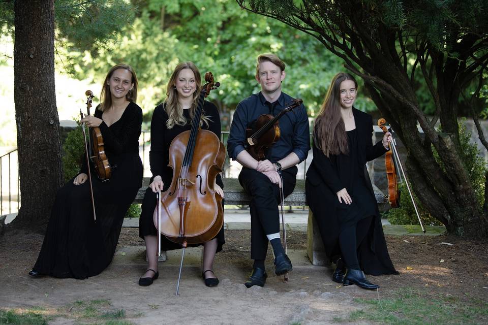 Quartet