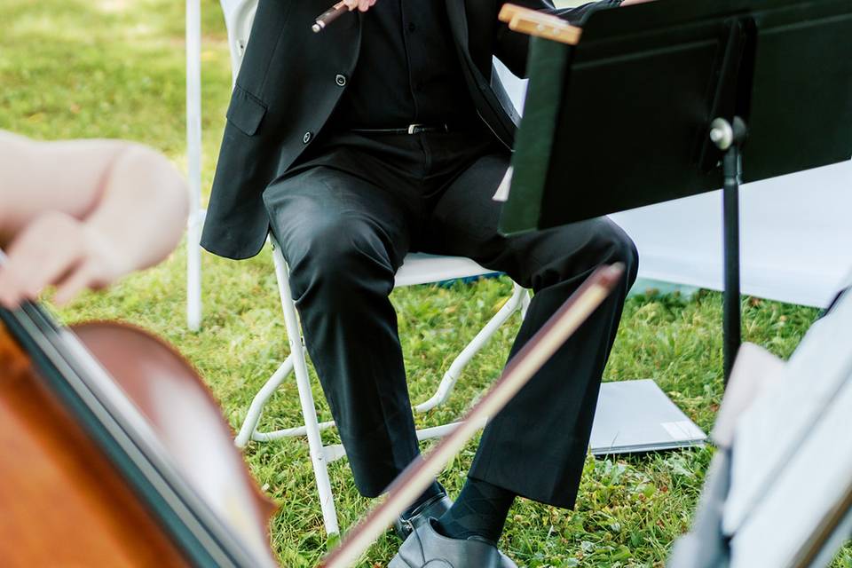 Violist