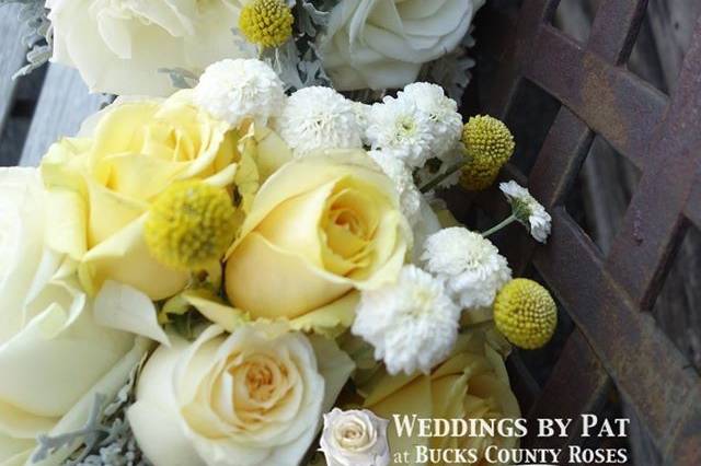 Bucks County Roses Weddings by Pat