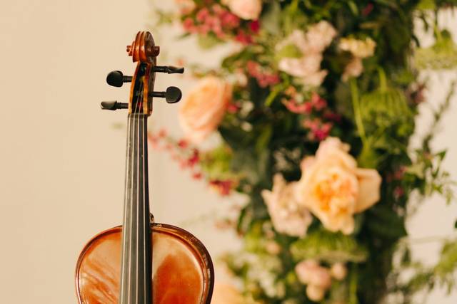 LOS CABOS LOS ANGELES PROFESSI