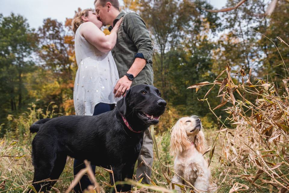 K.Zwick Photography