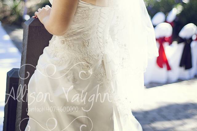 Allison Vaughn Photography LLC