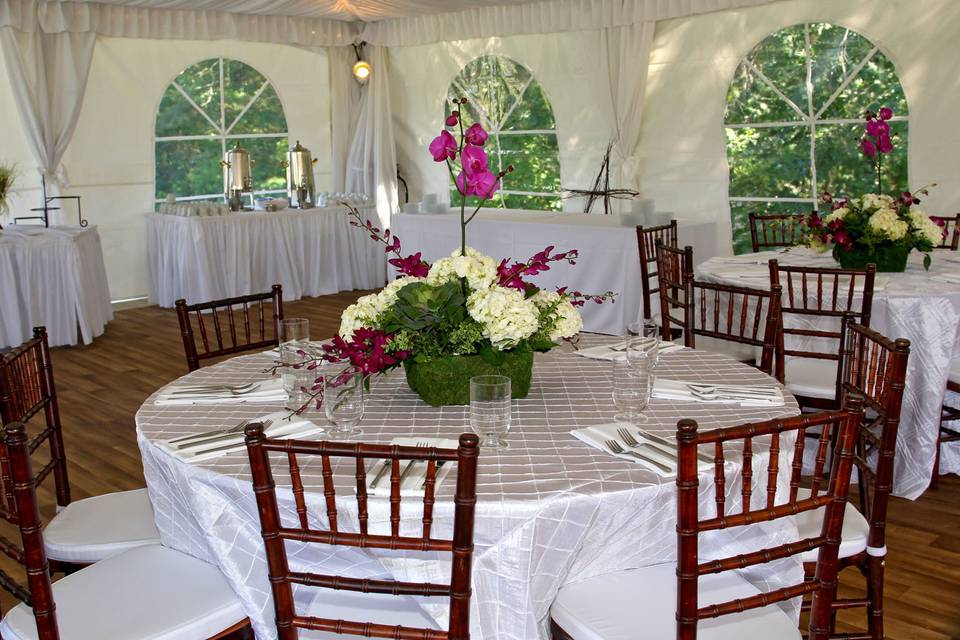 Chiavari Chairs