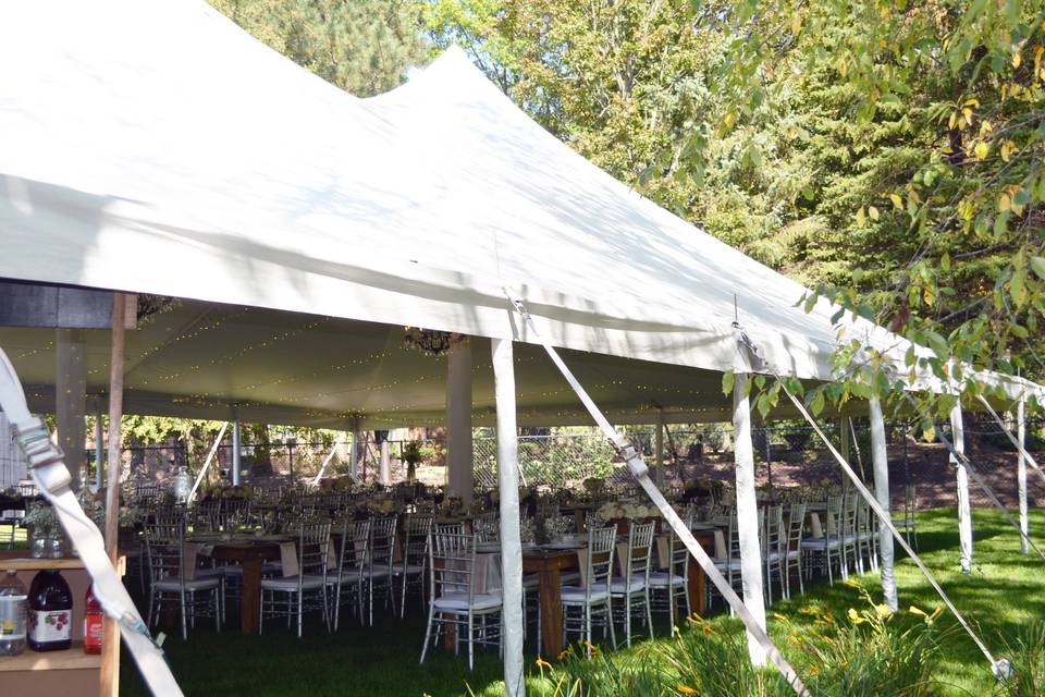 White wide tents