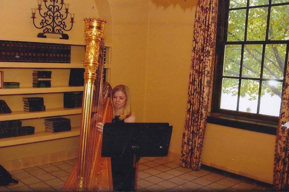 Leslie Valentincic - Harpist