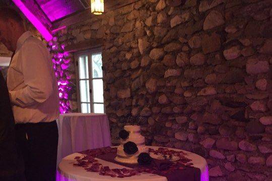 Here, uplights create a great feel at the Halloween themed wedding of the Boldenows at Castle Farms.
