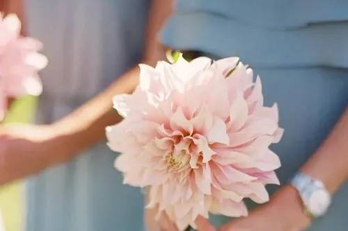Single Stem Bouquet