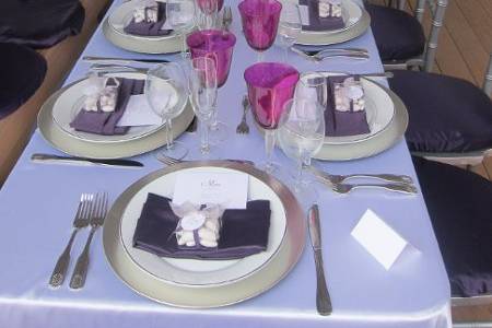 Long table setting